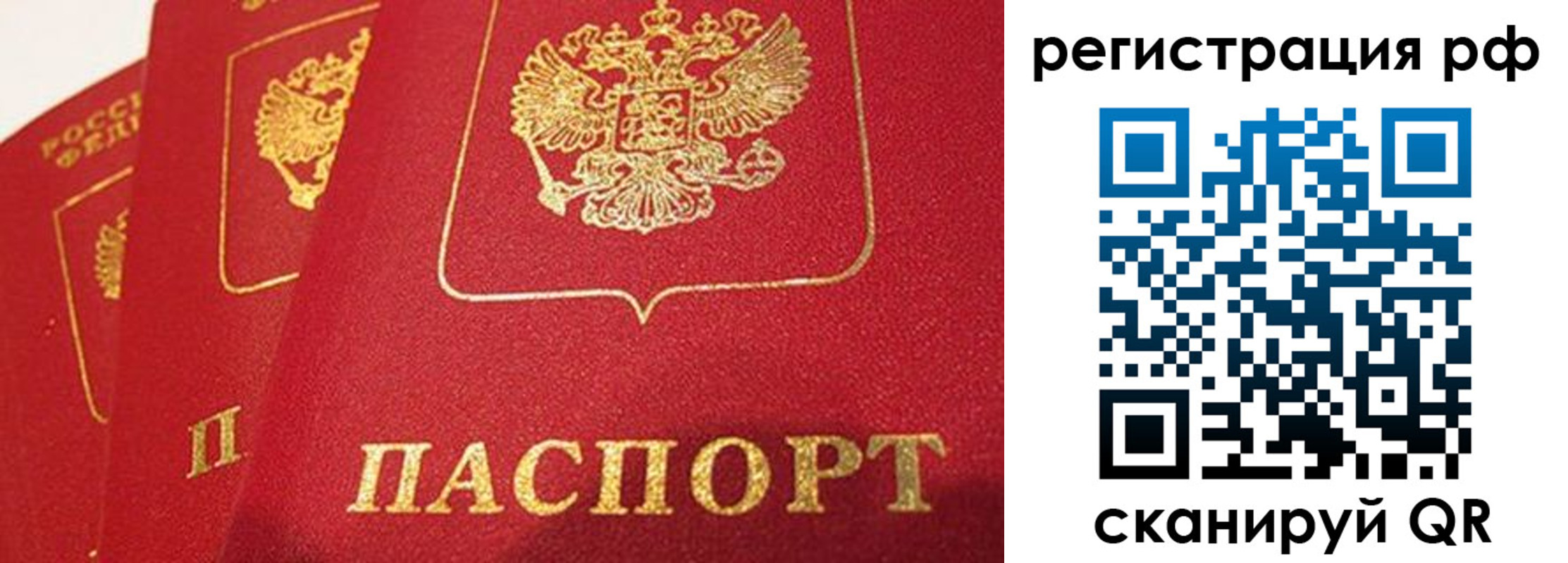 прописка поиск в Балее